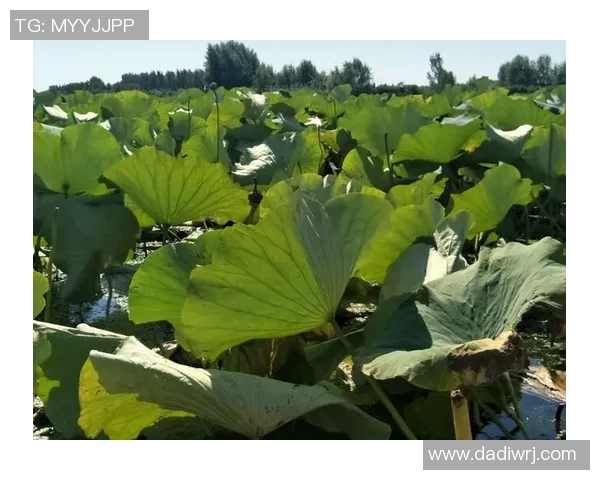 碧波逐浪，全民享绿！广州新时代少年说解读全运“绿色答卷”